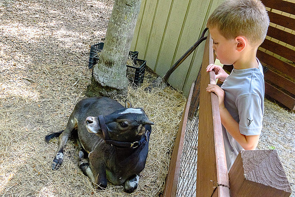 Reagan & Carter in Fla 2014-6538 -2014-04-30