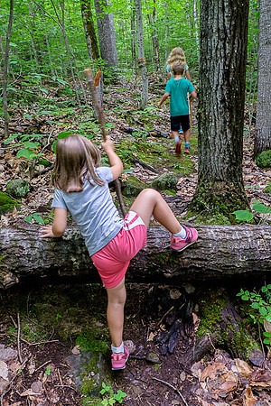 Kiddie Kamp 2015-4103 -2015-07-21