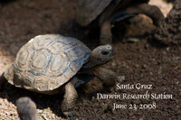 June 23 - Darwin Station