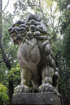 Day 9   Kyoto-0269 -DSCF1648