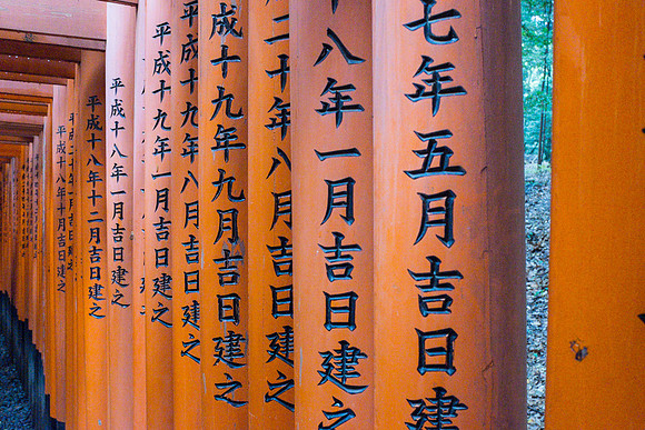 Day 10 Koyoto Geisha-0213 -DSCF1770