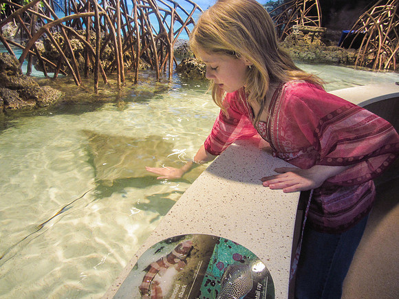NE Aquarium-4