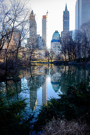 NYC 2017-1480 -2017-01-29