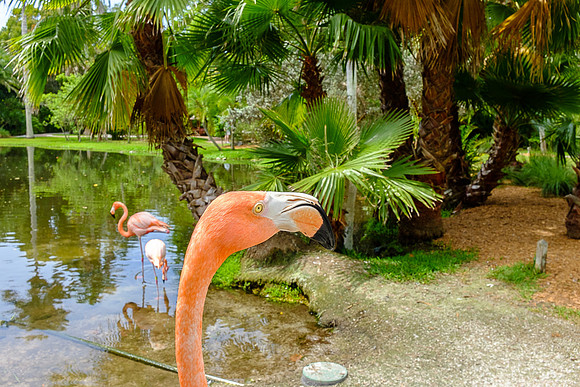 Reagan & Carter in Fla 2014-6556 -2014-04-30