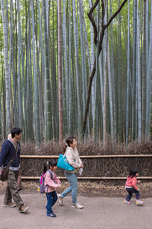 Day 12 - Kyoto-0172 -DSCF2077