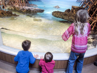 NE Aquarium