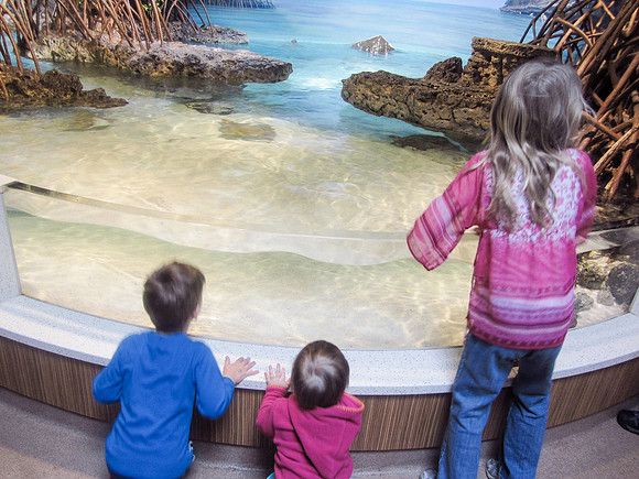 NE Aquarium-5