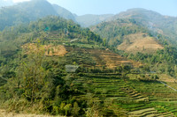 Nepal Day 12