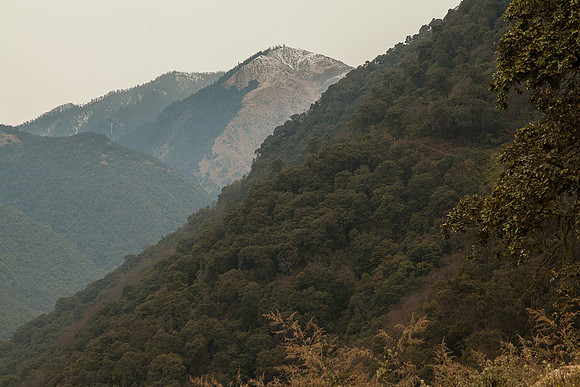 _MG_1120