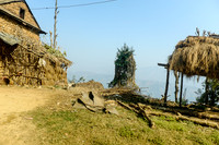DSCF5214