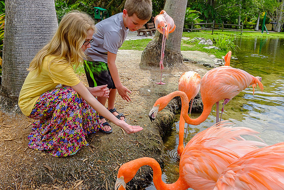 Reagan & Carter in Fla 2014-6557 -2014-04-30