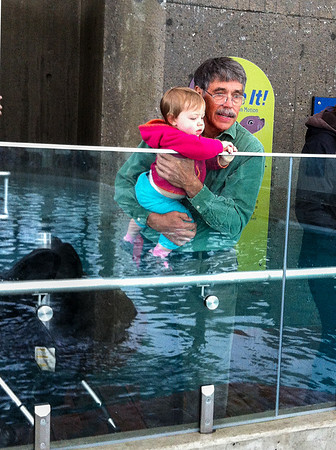 NE Aquarium-32