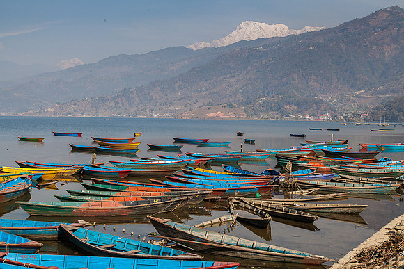 _MG_2019