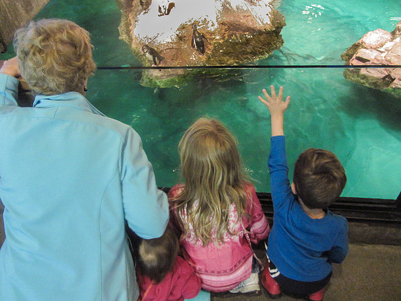 NE Aquarium-12