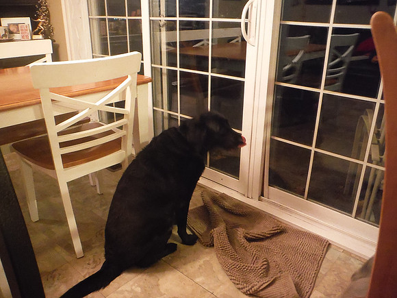 Reagan-0010 -2014-01-03