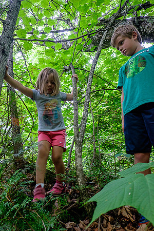 Kiddie Kamp 2015-4094 -2015-07-21