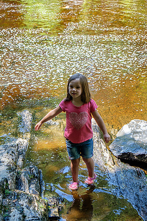 Kiddie Kamp 2015-4192 -2015-07-22