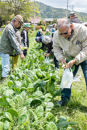 Day 11 - Farm-0132 -DSCF1894