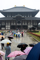 April 30 - Nara & Fushimi; Maiko Show