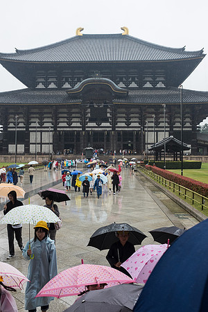 Day 9   Kyoto-0221 -DSCF1624