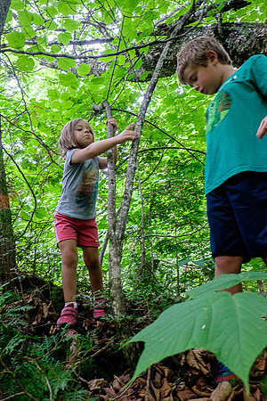 Kiddie Kamp 2015-4093 -2015-07-21