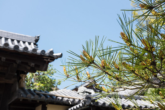 Day 9   Kyoto-0029 -DSCF1463