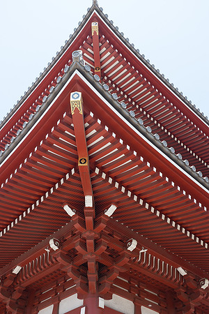 Japan Day 2 Tokyo-0107 -DSCF0332