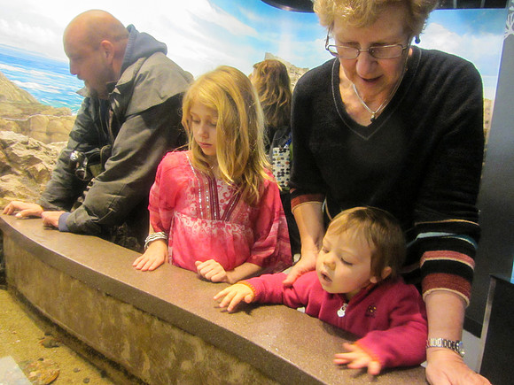 NE Aquarium-16