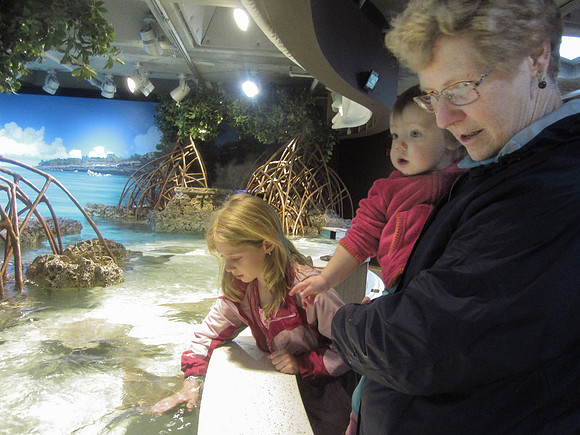 NE Aquarium-2