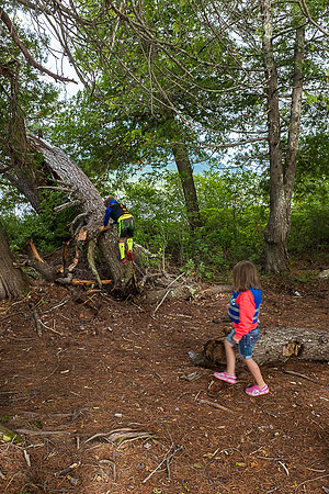 Kiddie Kamp 2015-6410 -2015-07-22