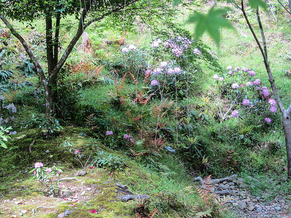 Japan - Judy-0034 -IMG_3345