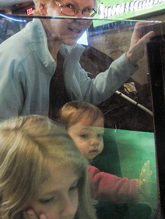 NE Aquarium-11